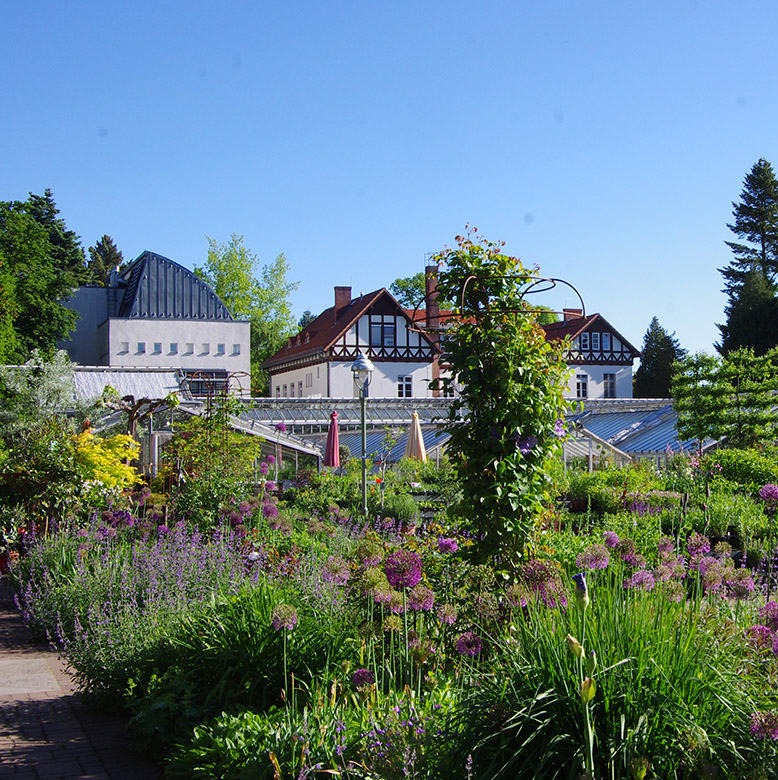 Schaubeete