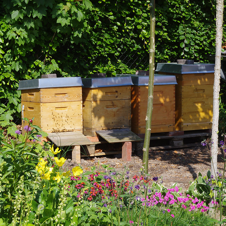 Bienengarten